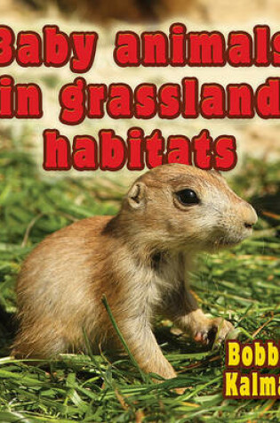 Cover of Baby Animals in Grassland Habitats