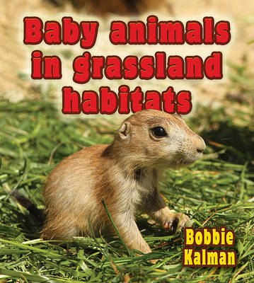 Book cover for Baby Animals in Grassland Habitats