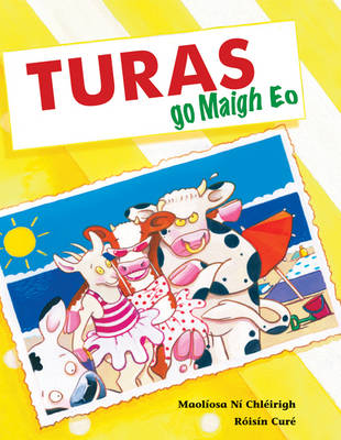 Book cover for Turas Go Maigh EO