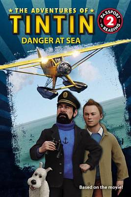 Book cover for Danger at Sea