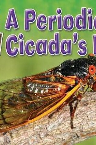 Cover of A Periodical Cicada's Life