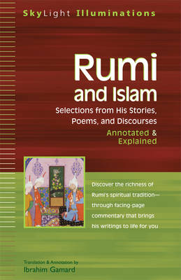 Cover of Rumi and Islam