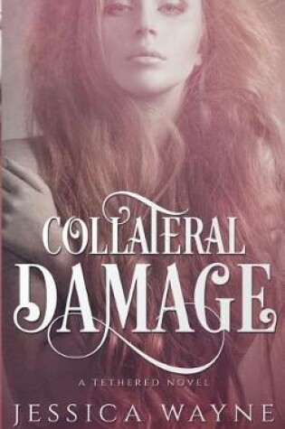 Cover of Collateral Damage