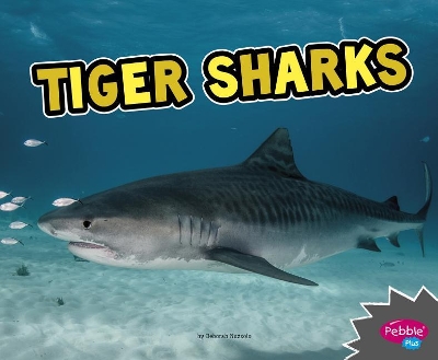 Book cover for All About Sharks Tiger Sharks