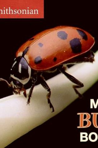 Cover of My Bug Book