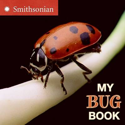 Book cover for My Bug Book