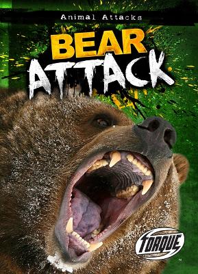 Book cover for Bear Attack