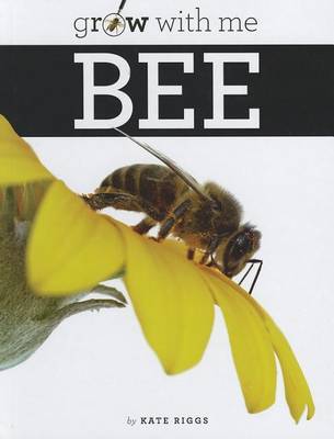 Book cover for Bee