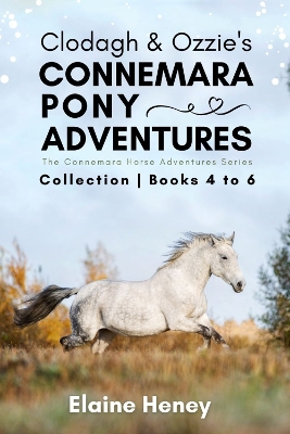 Book cover for Clodagh & Ozzie's Connemara Pony Adventures