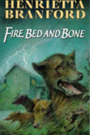 Cover of Fire Bed And Bone