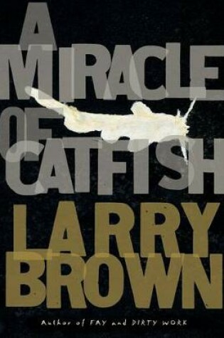 Cover of A Miracle of Catfish