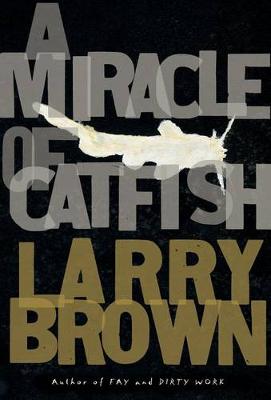 Book cover for A Miracle of Catfish