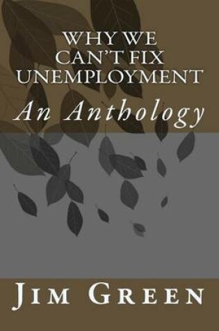 Cover of Why We Can't Fix Unemployment