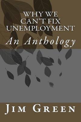 Book cover for Why We Can't Fix Unemployment
