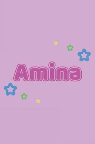 Cover of Amina