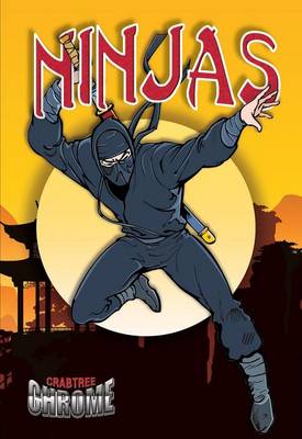 Book cover for Ninjas