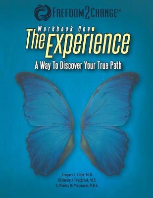 Book cover for The Experience