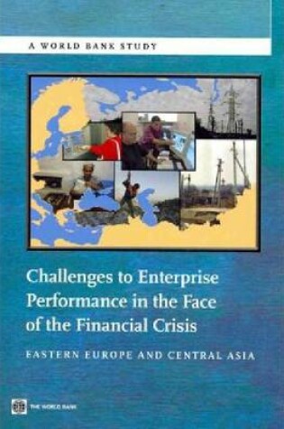 Cover of Challenges to Enterprise Performance in the Face of the Financial Crisis