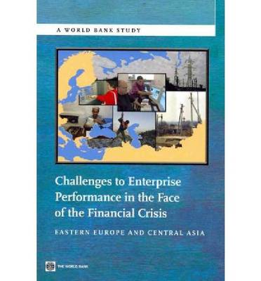 Book cover for Challenges to Enterprise Performance in the Face of the Financial Crisis