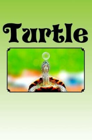 Cover of Turtle