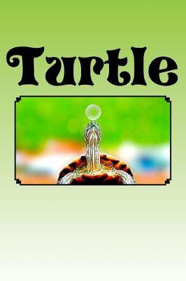 Book cover for Turtle