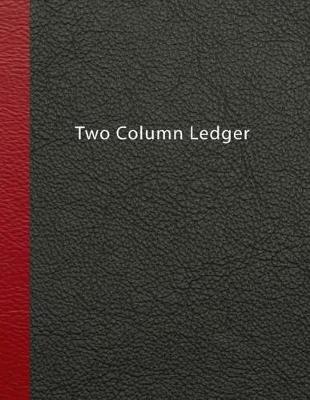 Book cover for Two Column Ledger