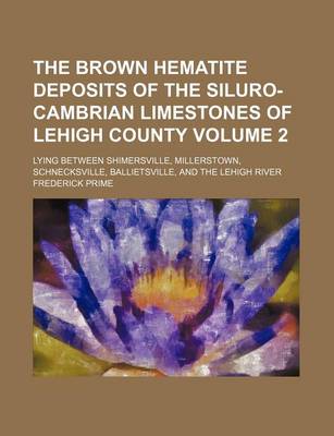 Book cover for The Brown Hematite Deposits of the Siluro-Cambrian Limestones of Lehigh County Volume 2; Lying Between Shimersville, Millerstown, Schnecksville, Ballietsville, and the Lehigh River