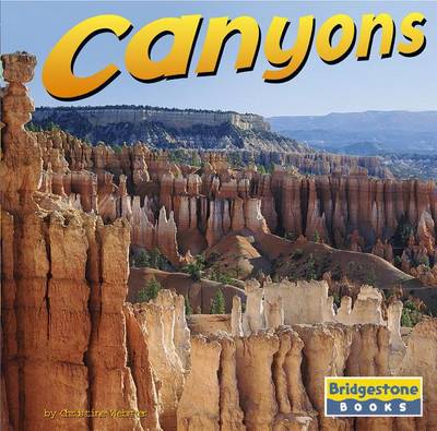 Book cover for Canyons