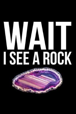 Book cover for Wait I See a Rock