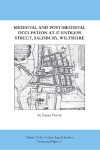 Book cover for Medieval and Post-Mediaval Occupation at 47 Endless Street, Salisbury, Wiltshire