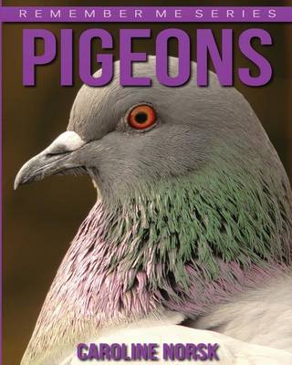 Book cover for Pigeons