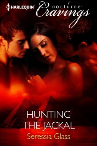 Cover of Hunting The Jackal