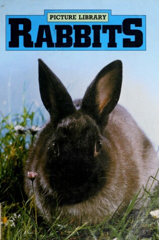 Cover of Rabbits