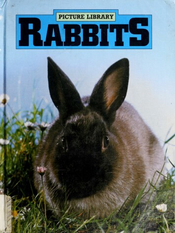 Book cover for Rabbits