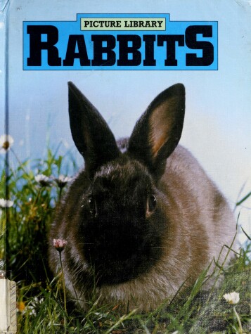 Cover of Rabbits