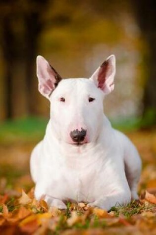 Cover of White Bull Terrier Dog Portrait Journal