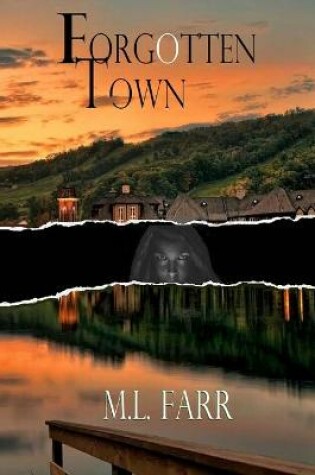 Cover of Forgotten Town