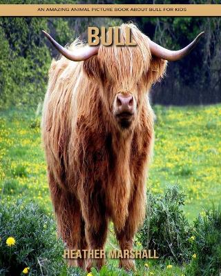 Book cover for Bull