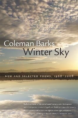 Book cover for Winter Sky