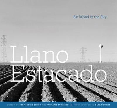 Book cover for Llano Estacado