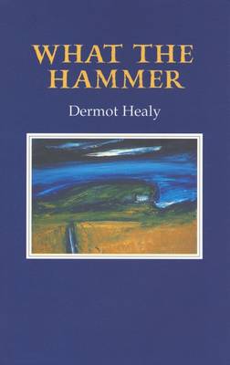 Book cover for What the Hammer