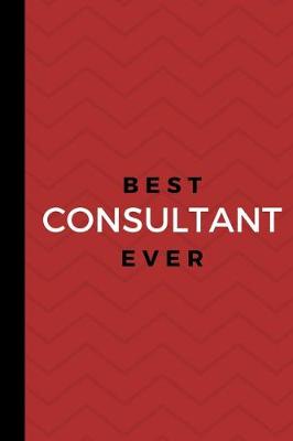 Book cover for Best Consultant Ever
