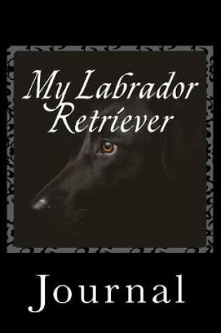 Cover of My Black Labrador Retriever