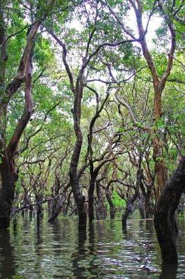 Book cover for Floating Forest Siem Reap Cambodia Journal