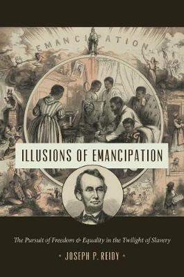 Cover of Illusions of Emancipation