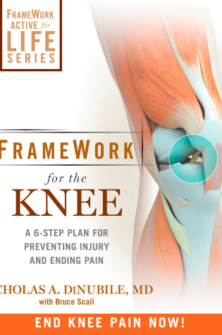 Cover of FrameWork for the Knee