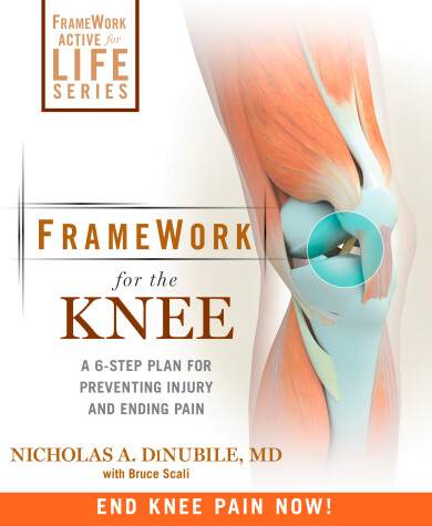 Book cover for FrameWork for the Knee