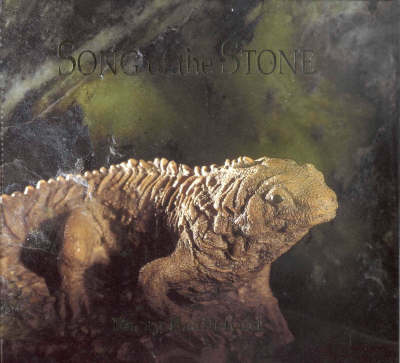 Book cover for Song of the Stone