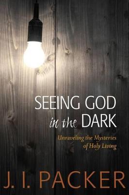 Book cover for Seeing God in the Dark: Unraveling the Mysteries of Holy Living