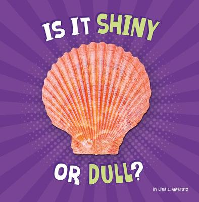 Cover of Is It Shiny or Dull?